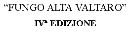 Casella di testo: FUNGO ALTA VALTAROIV EDIZIONE